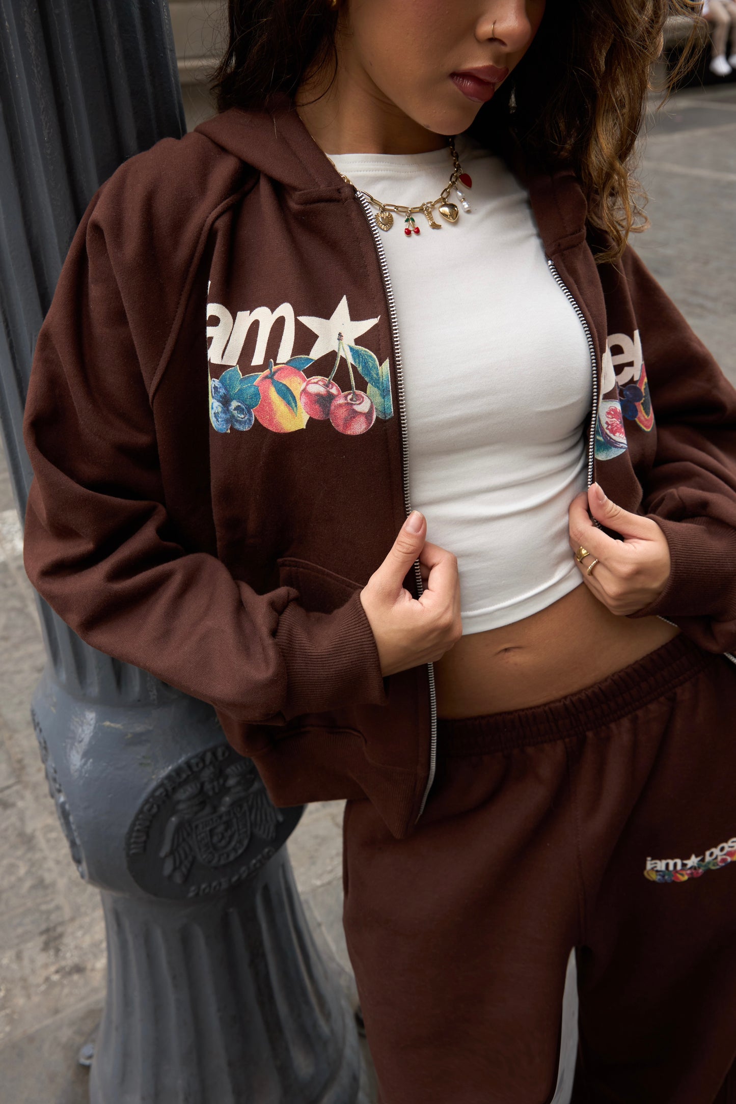 PASSION FRUITS ZIP HOODIE
